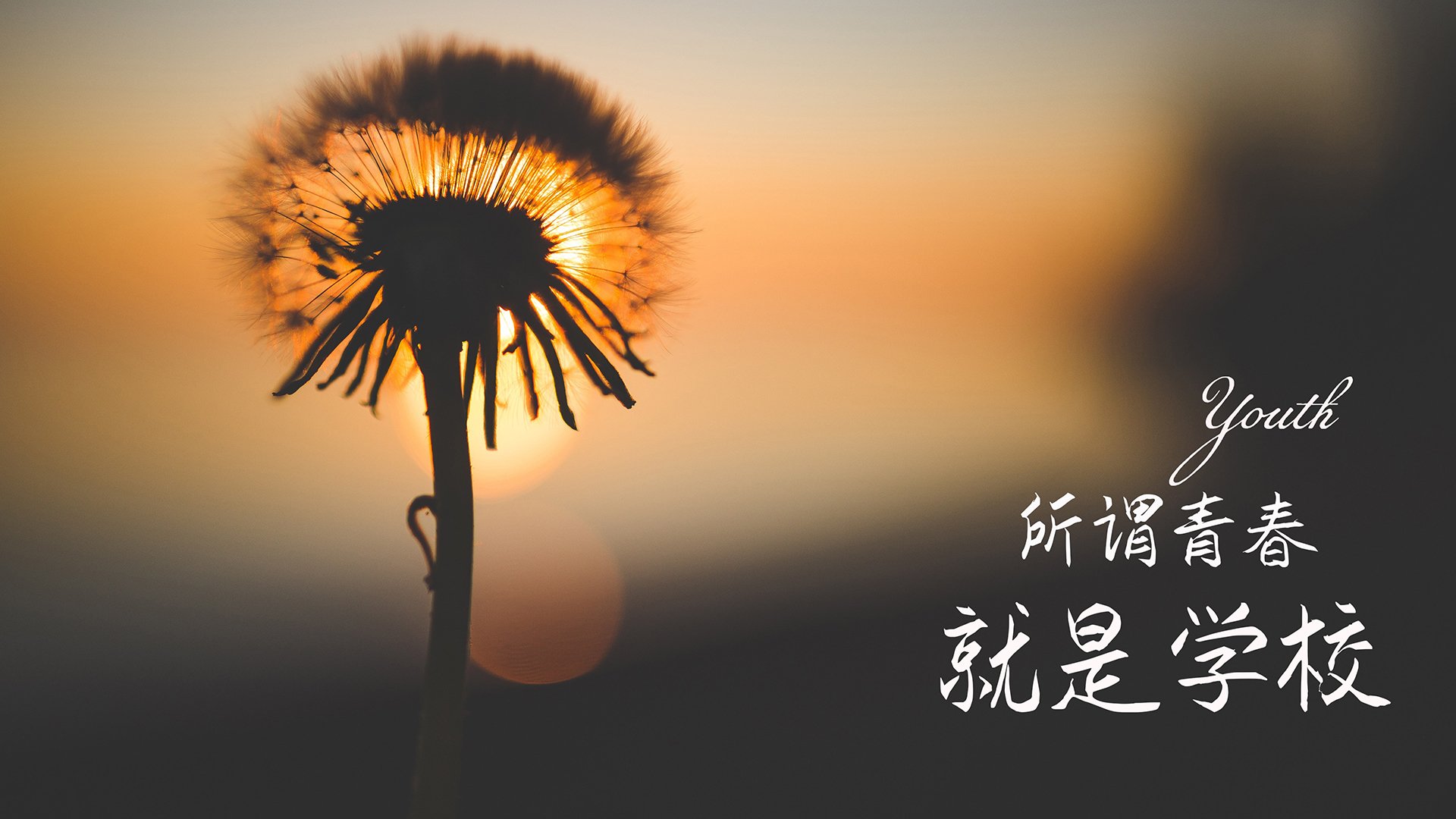 青少年篮球比赛激励机制创新，优质教练资源下沉，青少年篮球队训练视频