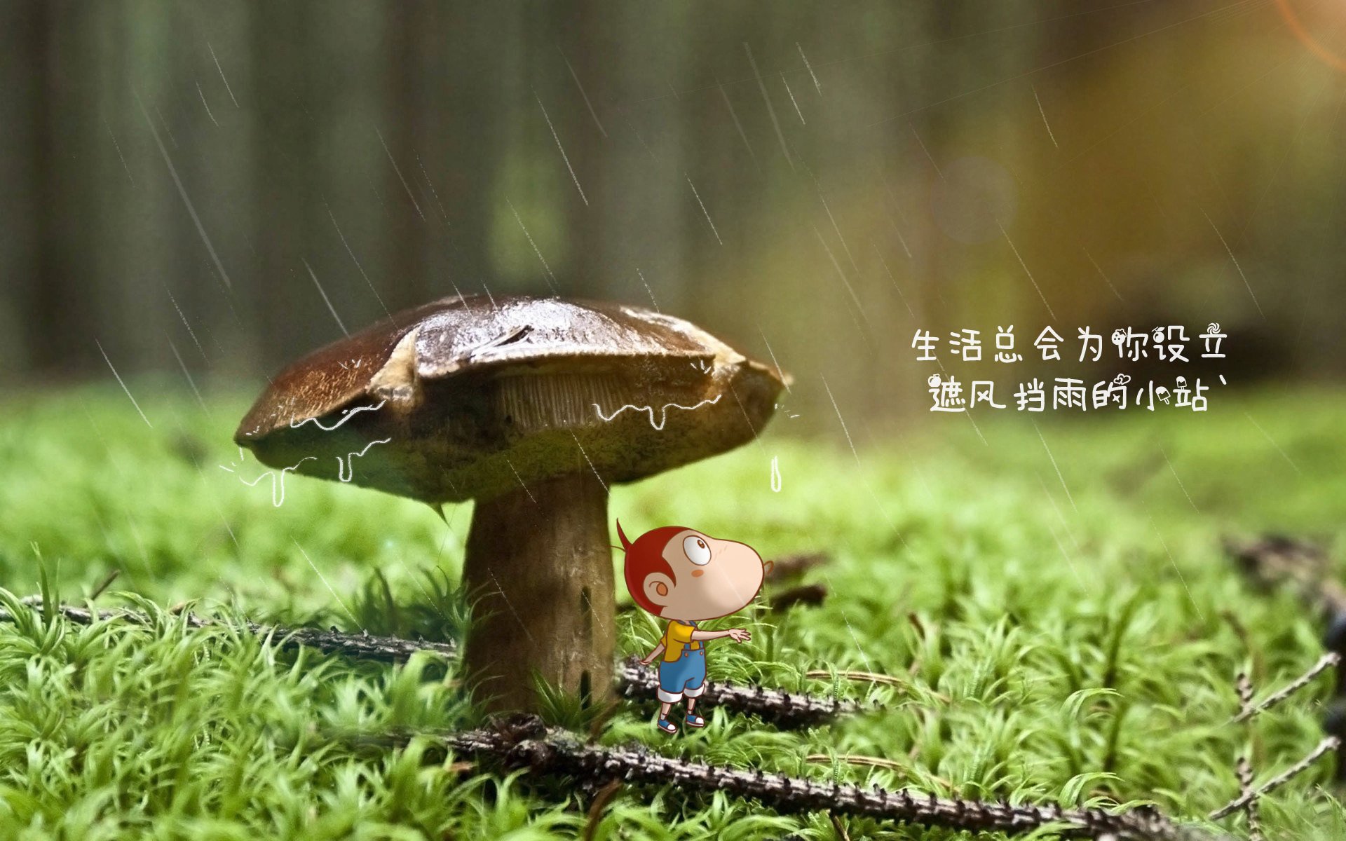 高压比赛：压力下运动员的精彩表现，高压向低压运动