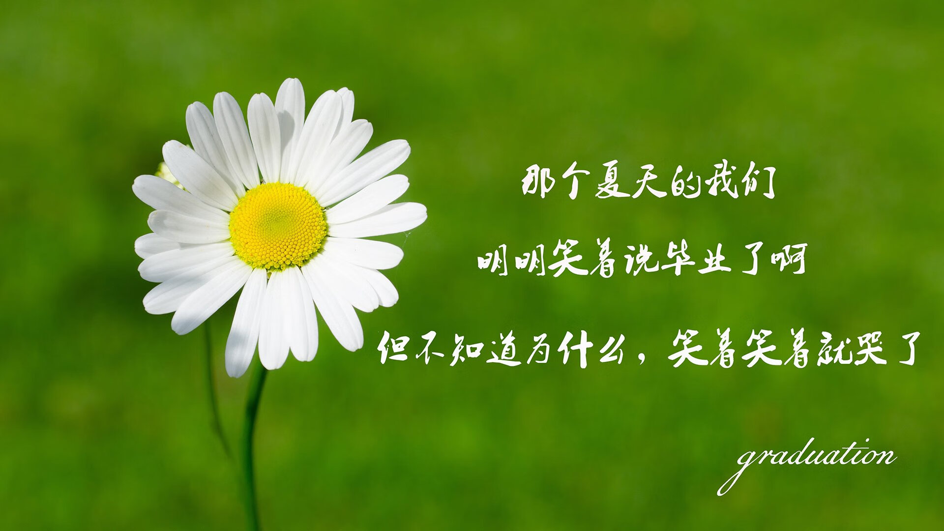 多特蒙德客场失利，球迷心情沉重，多特蒙德球队是哪个国家
