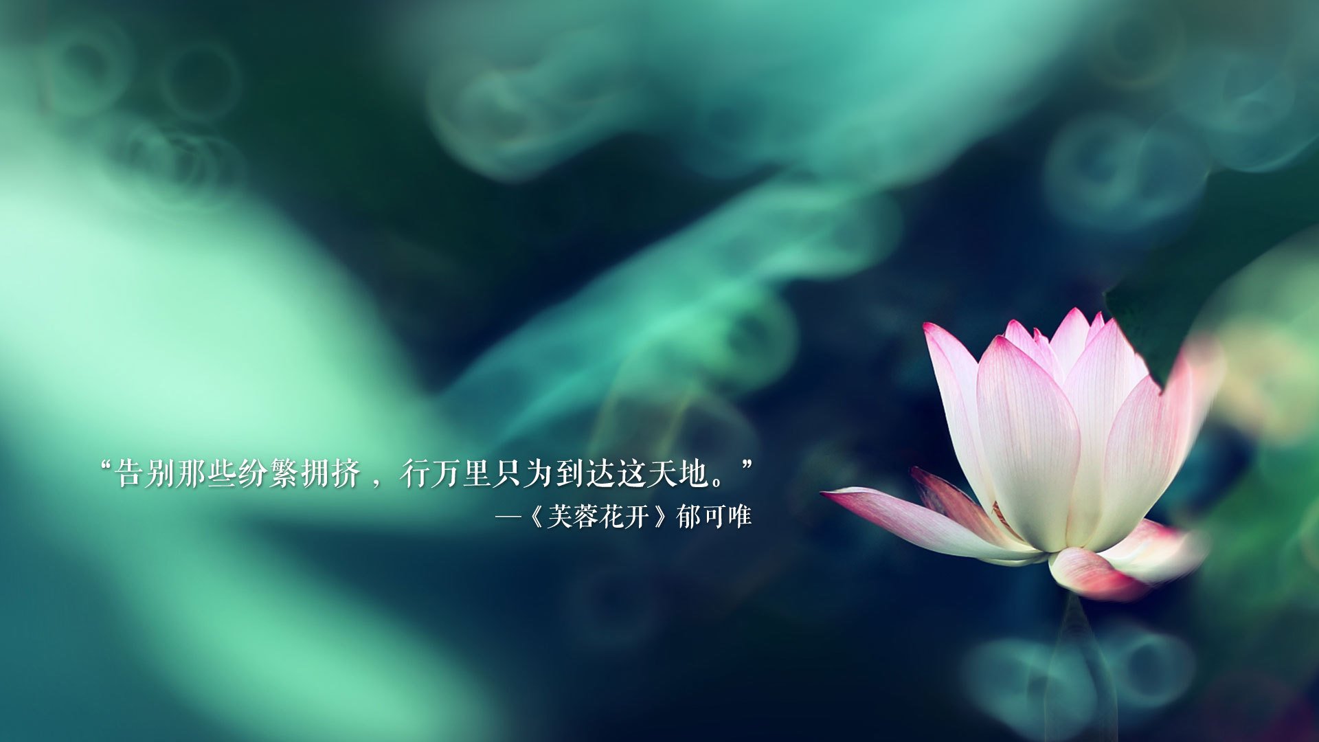 河南建业将面对深圳佳兆业,胜负背后谁能掌握主动?,河南建业与深圳佳兆业直播