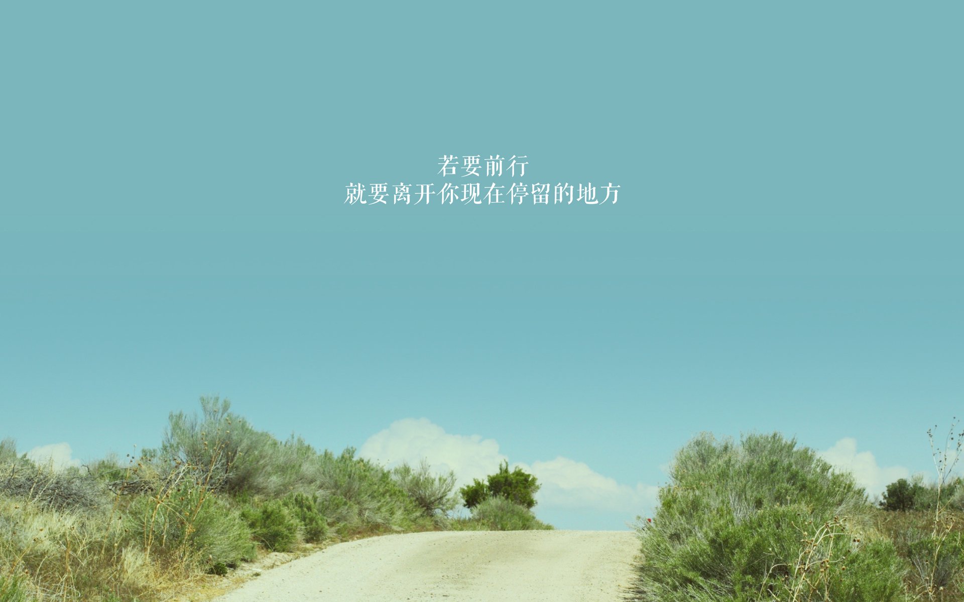 足球比赛的最新排名表现出哪些变化？，足球的赛事排名
