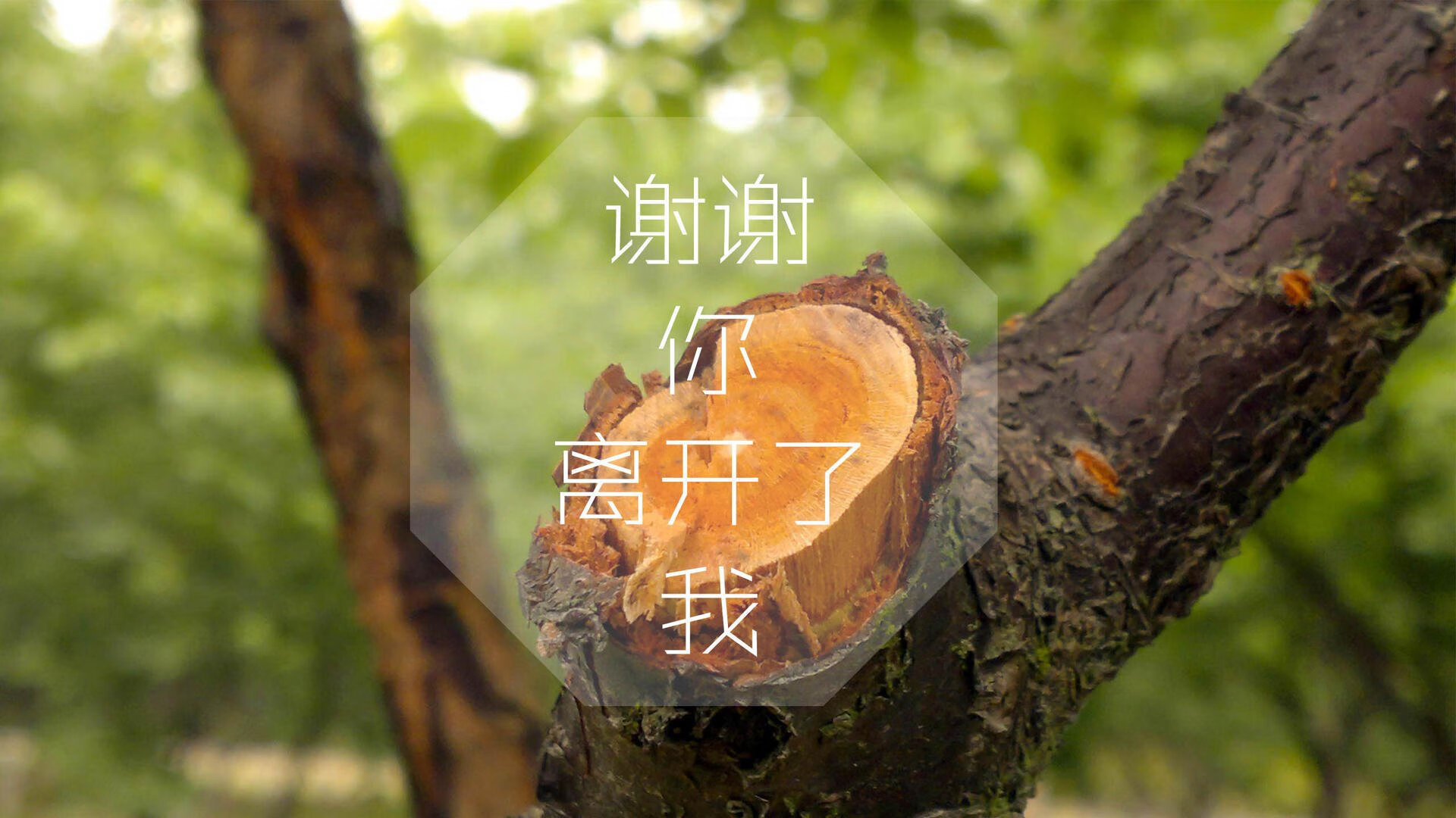 篮球运动员训练负荷监控与疲劳管理技术，篮球运动负荷设计教案