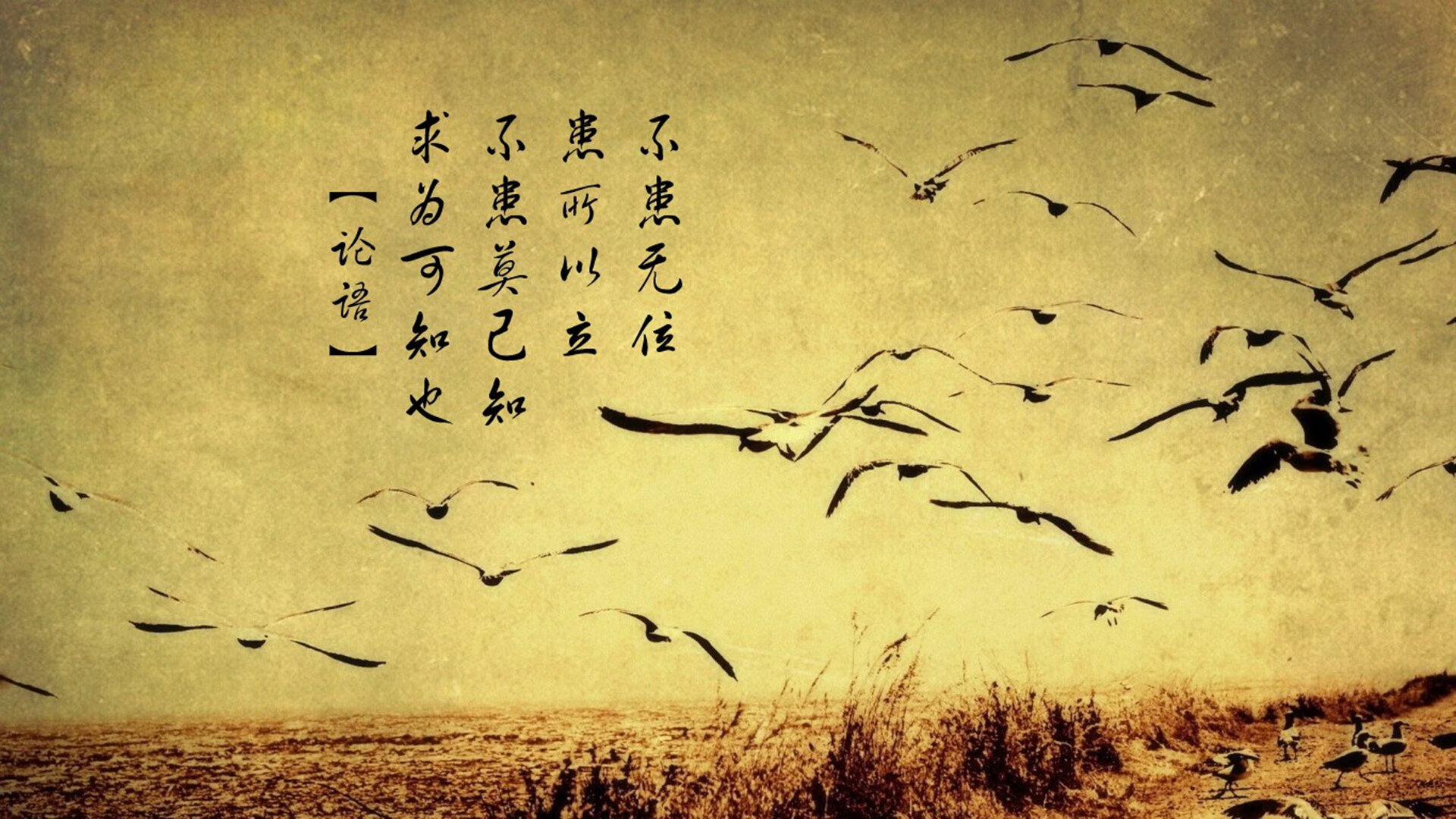 爱游戏官网-100米自比赛节奏曲线详解，100米身体运动节奏